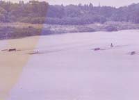 scan0036