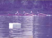 scan0066