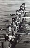 8+J 1979