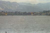 scan0017