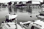 scan0016